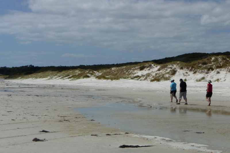 Nieuw-Zeeland 2011 - 0313